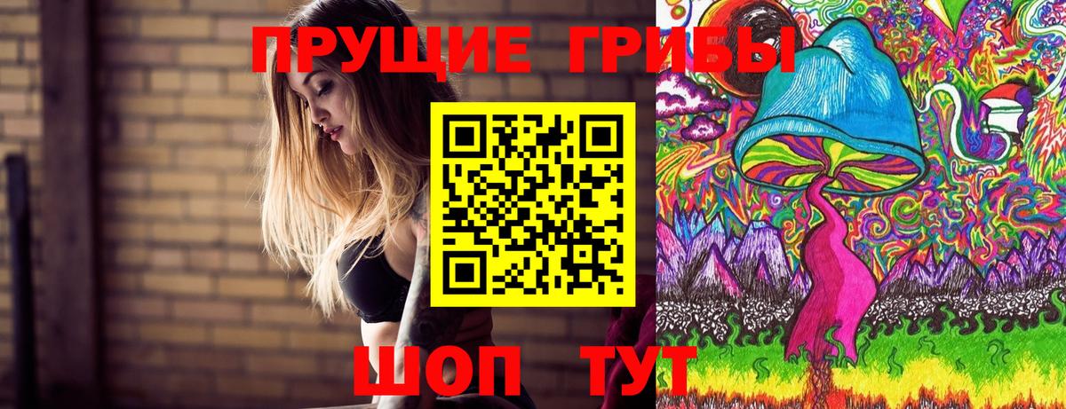 Протвино  Галлюциногенные грибы Psilocybe  Вход с VPN 